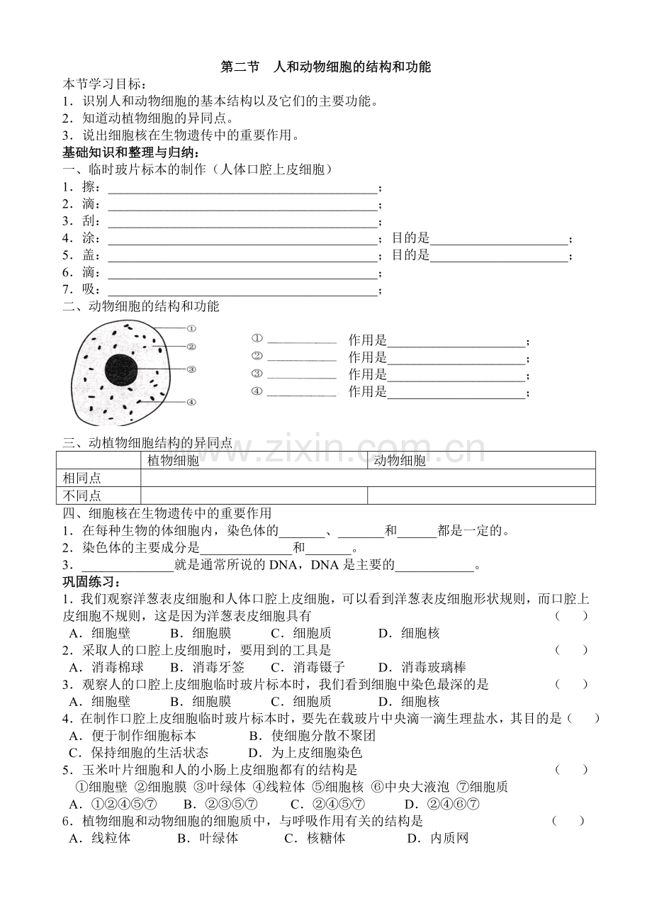 第三章第一节植物细胞的结构和功能.doc_第2页