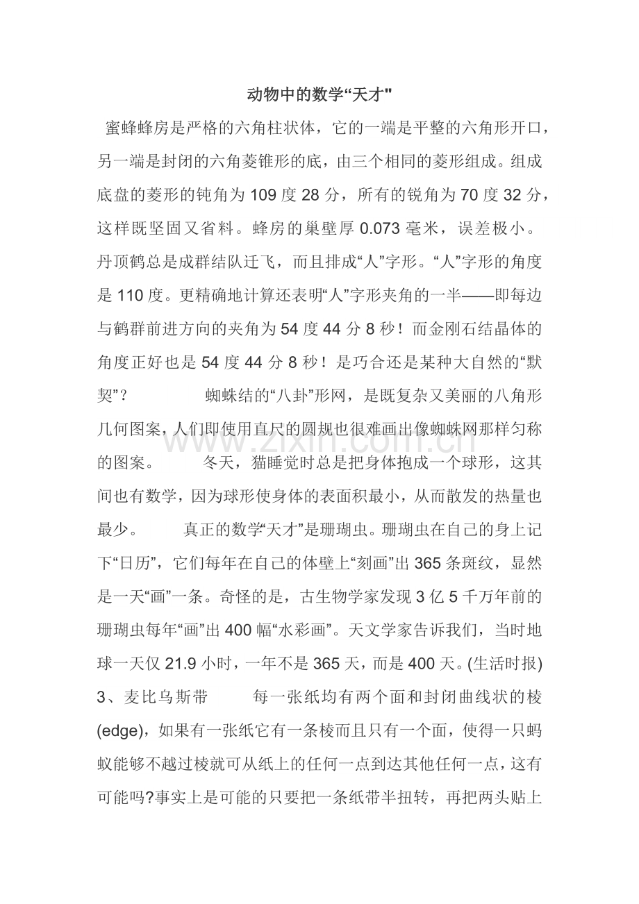 动物中的数学.docx_第1页