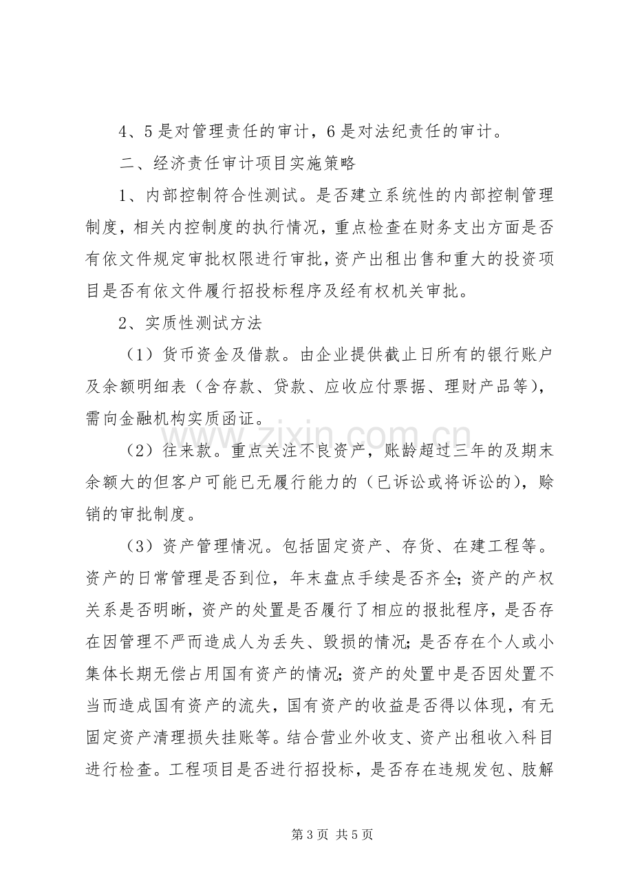 经济责任审计工作座谈会发言材料重点.docx_第3页