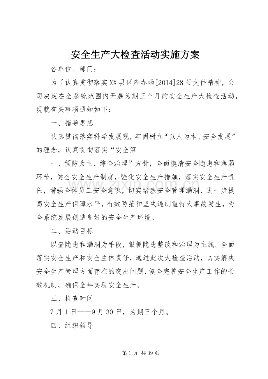 安全生产大检查活动方案 .docx_第1页