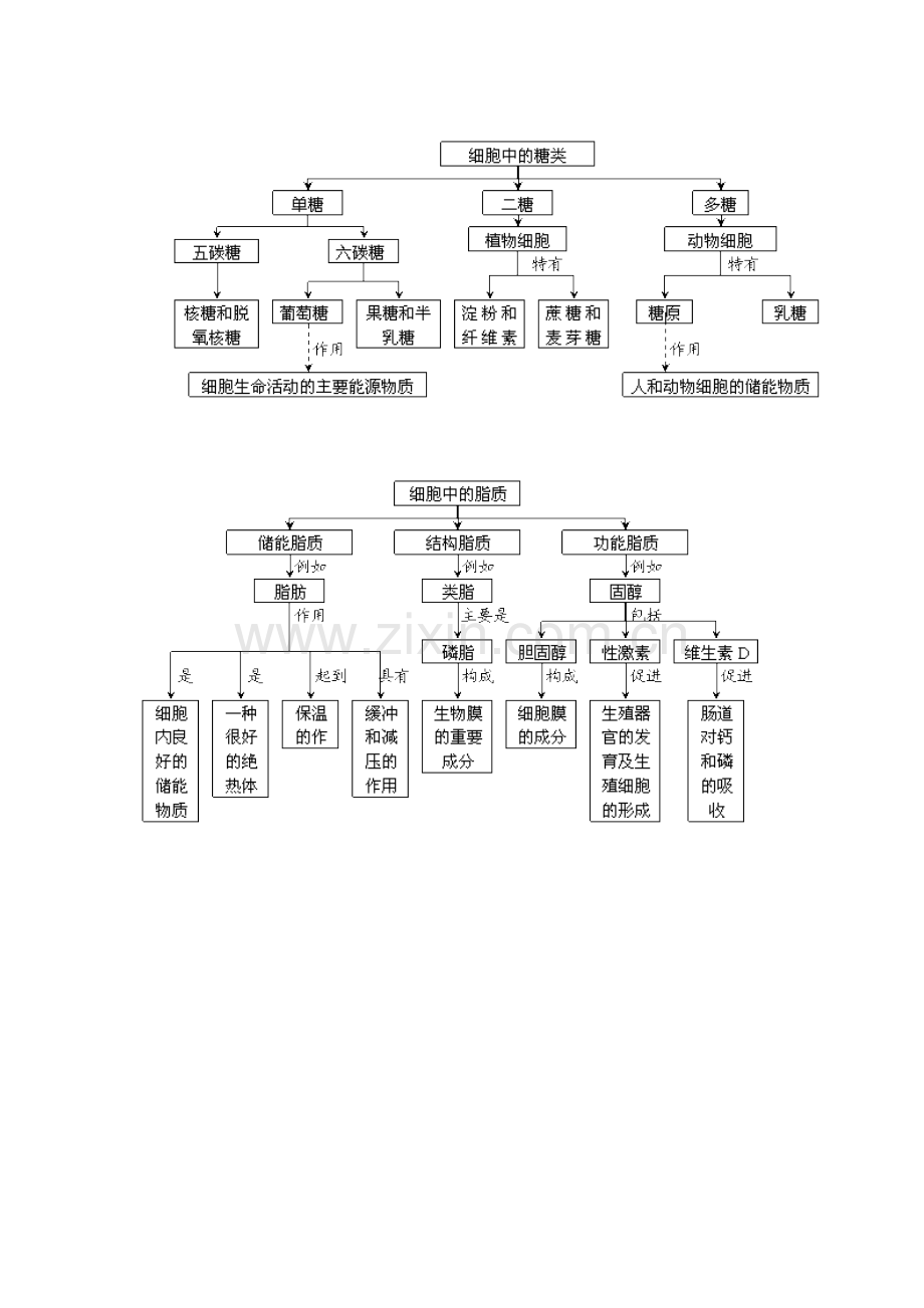 组成细胞的元素和化合物结构图.doc_第3页