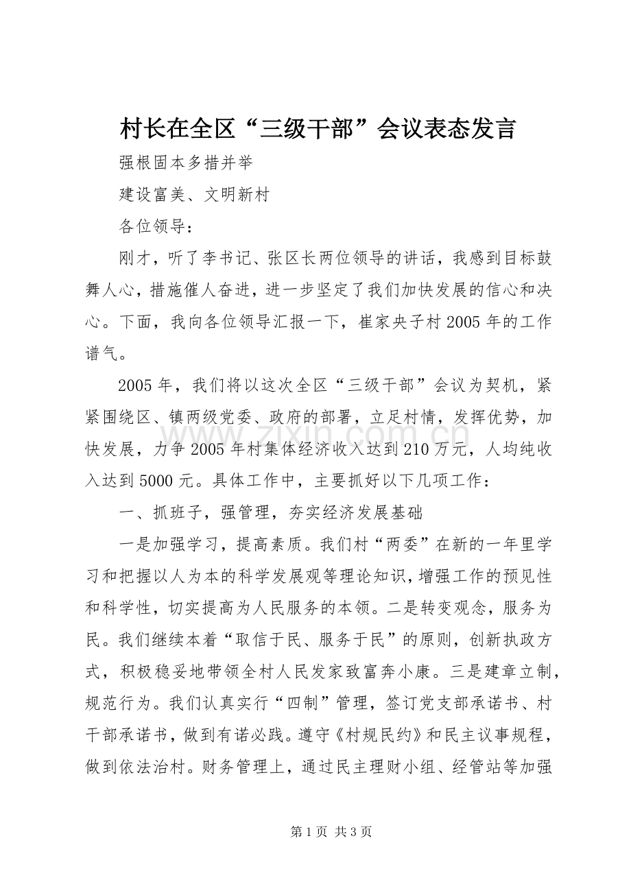 村长在全区“三级干部”会议表态发言稿 (2).docx_第1页