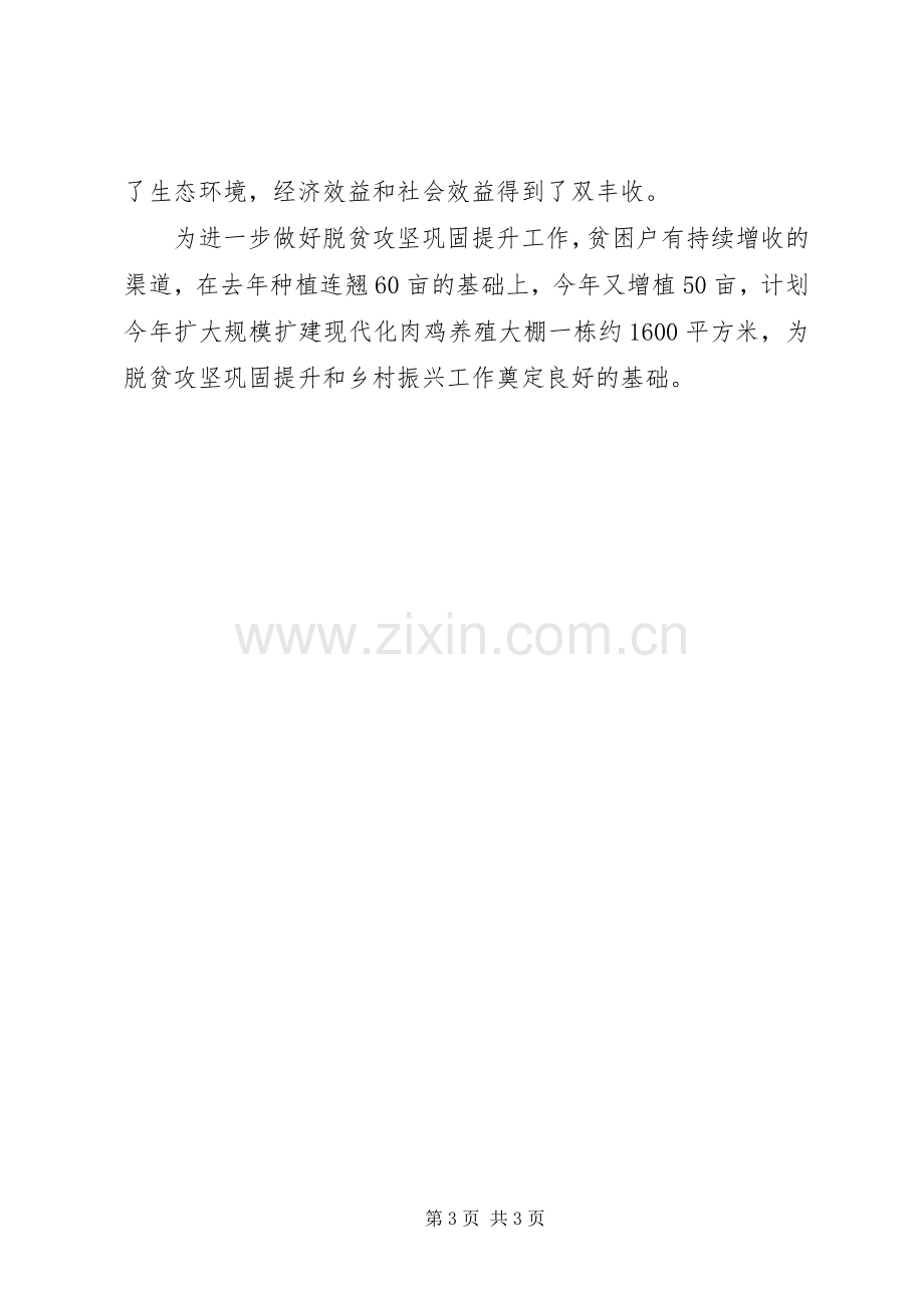 优秀脱贫攻坚村支部书记代表发言稿.docx_第3页