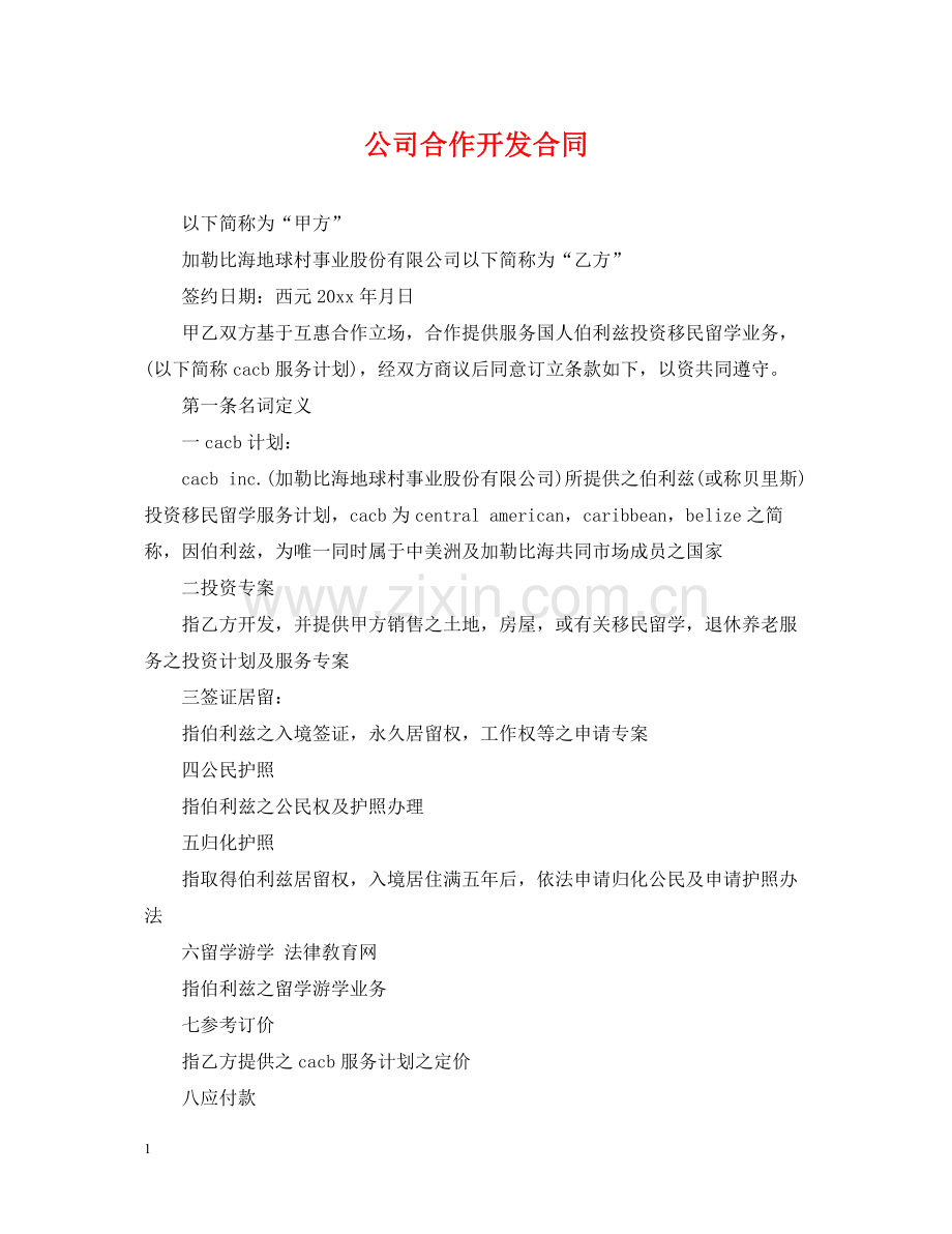 公司合作开发合同.docx_第1页