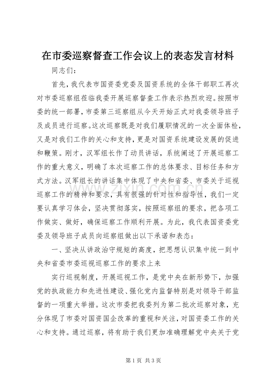 在市委巡察督查工作会议上的表态发言材料.docx_第1页