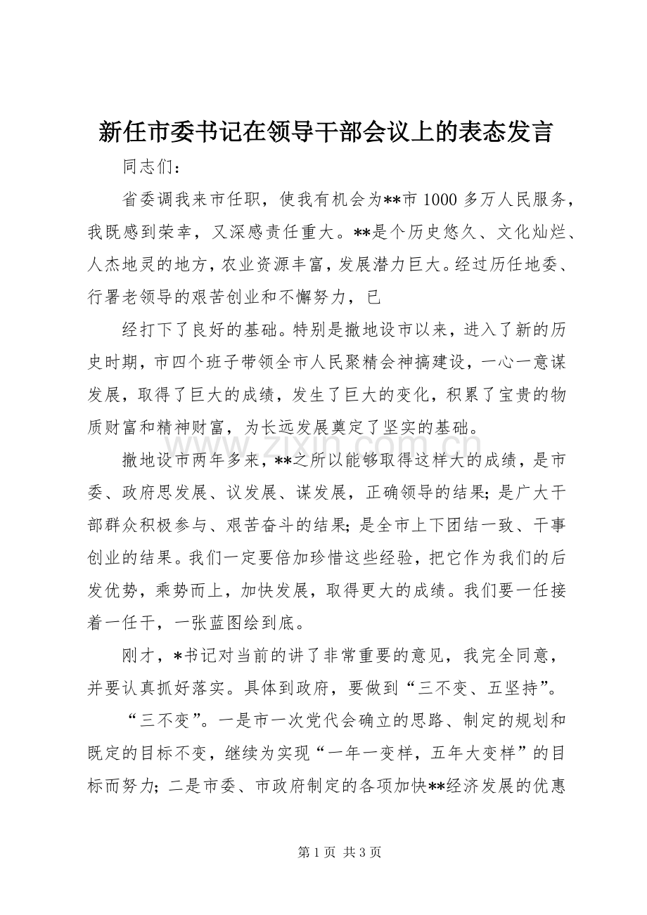 新任市委书记在领导干部会议上的表态发言稿.docx_第1页