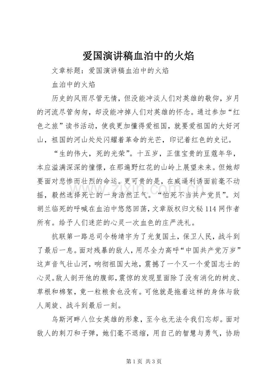 爱国演讲稿范文血泊中的火焰.docx_第1页