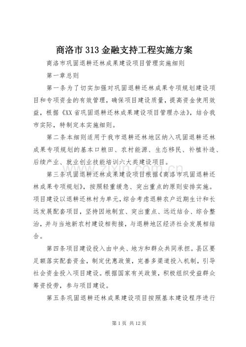 商洛市313金融支持工程方案 (4).docx