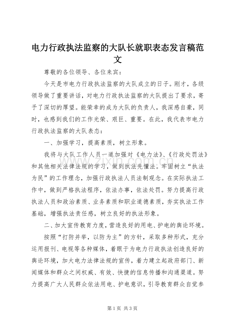 电力行政执法监察的大队长就职表态发言范文.docx_第1页