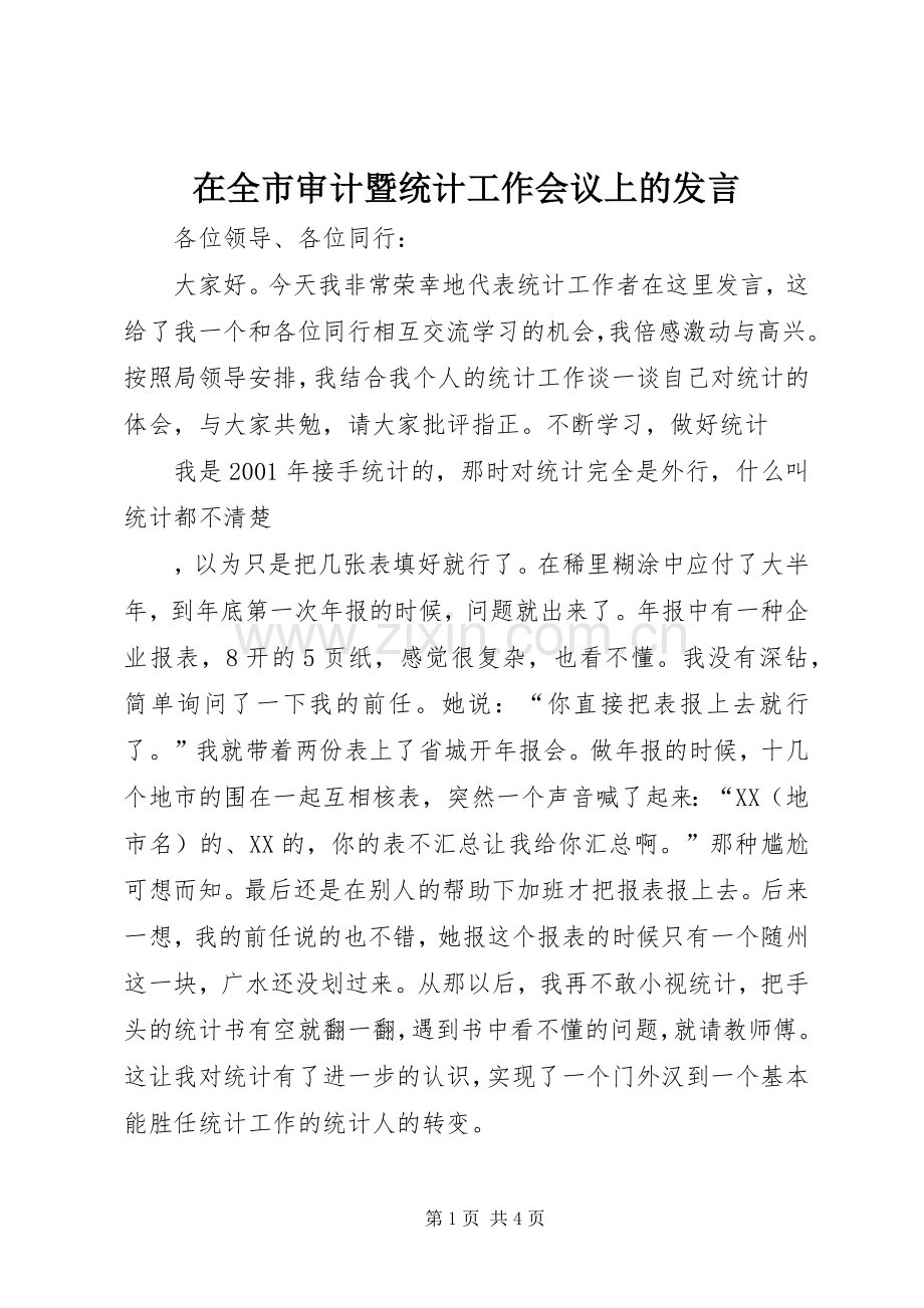 在全市审计暨统计工作会议上的发言稿 (2).docx_第1页