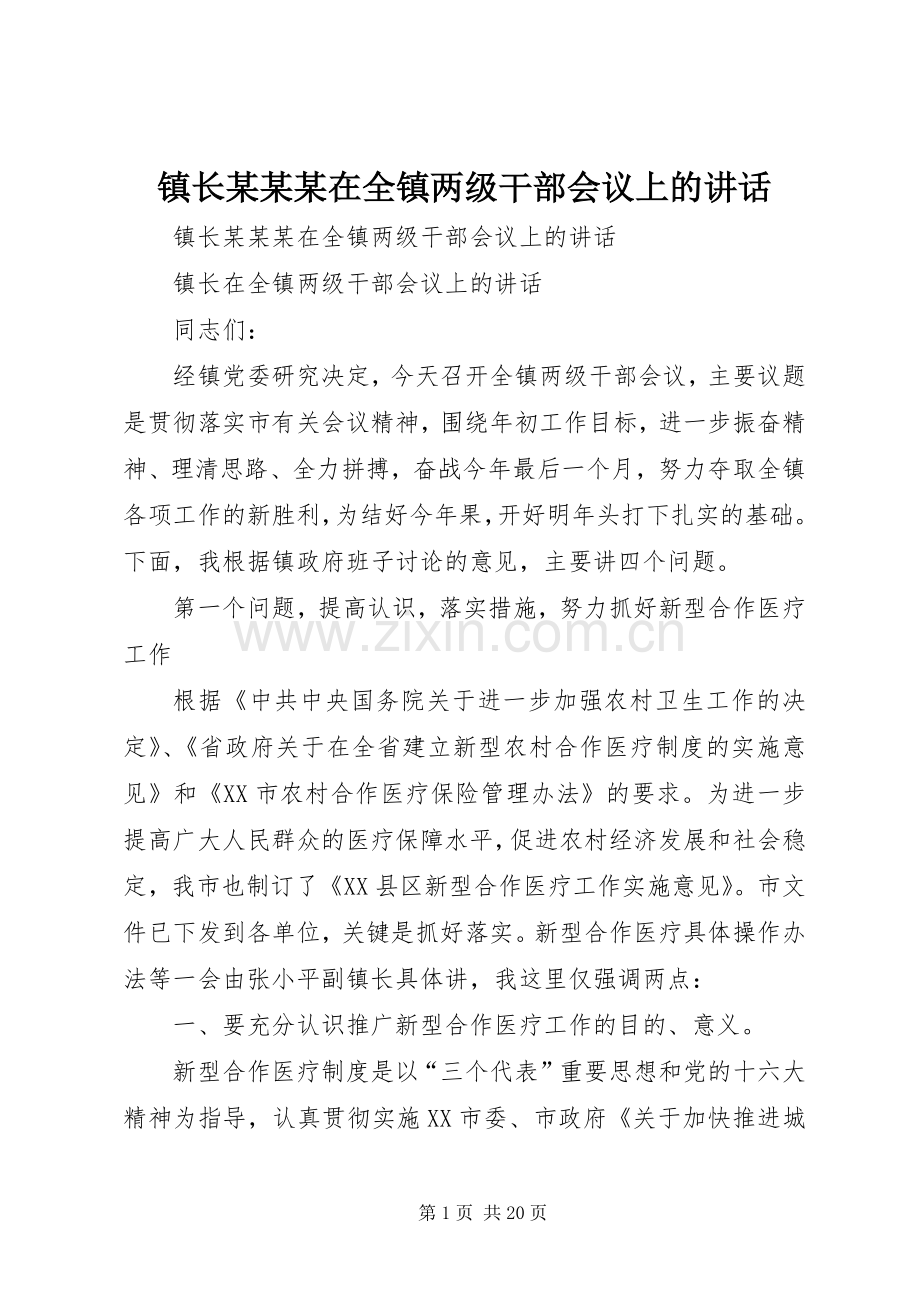 镇长某某某在全镇两级干部会议上的讲话.docx_第1页