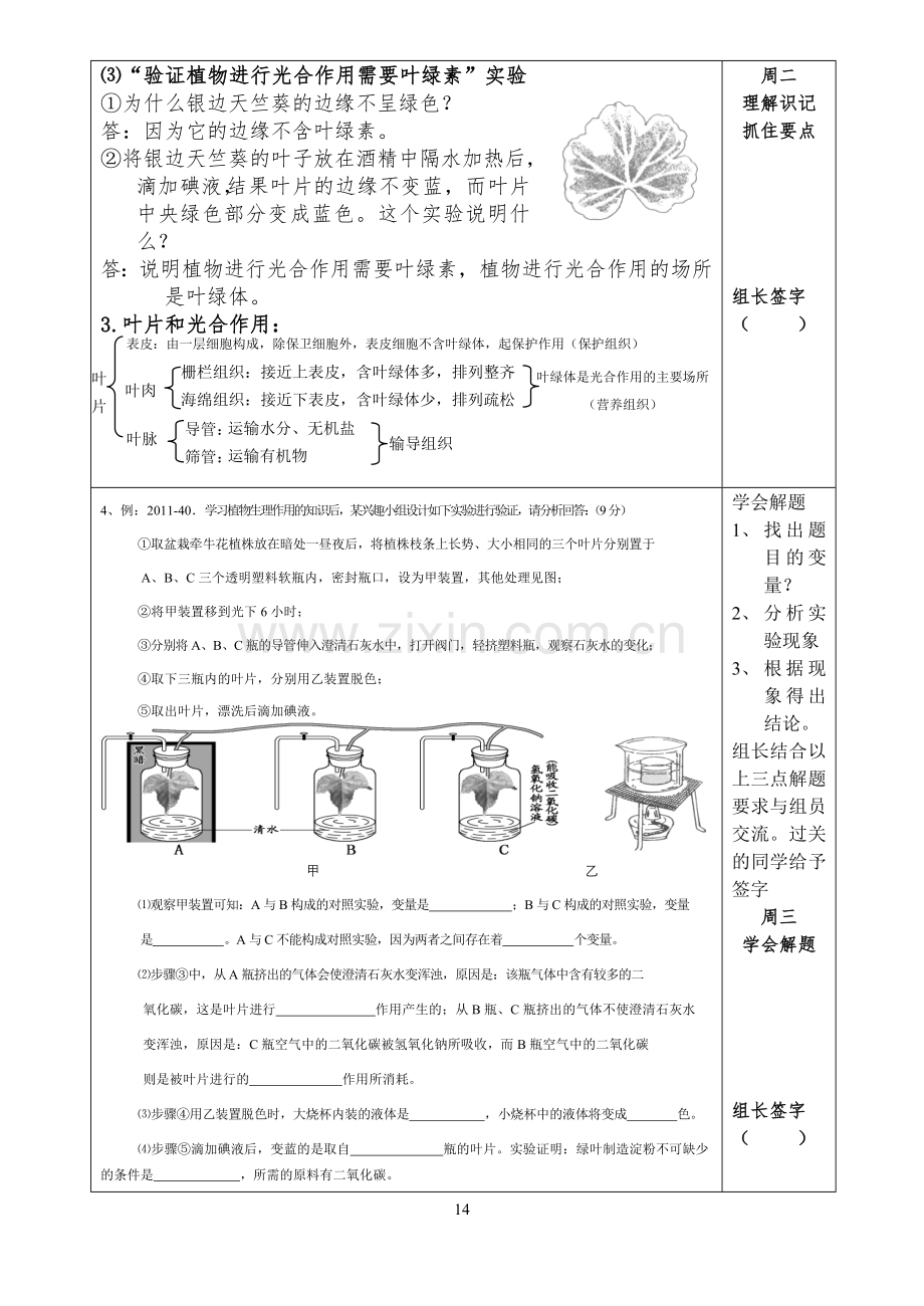 主题四生物圈中的绿色植.doc_第2页