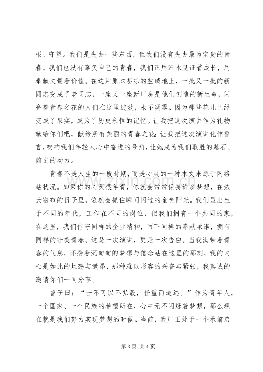 演讲稿范文：青春的追求.docx_第3页