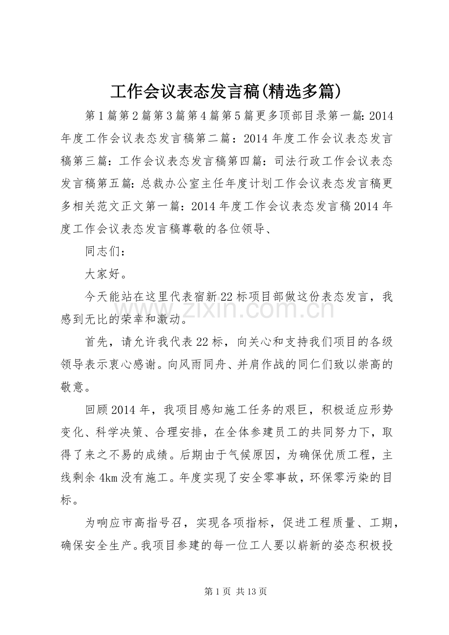 工作会议表态发言(多篇).docx_第1页