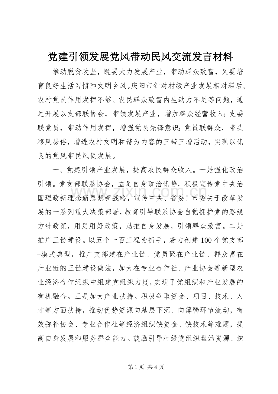 党建引领发展党风带动民风交流发言材料提纲.docx_第1页