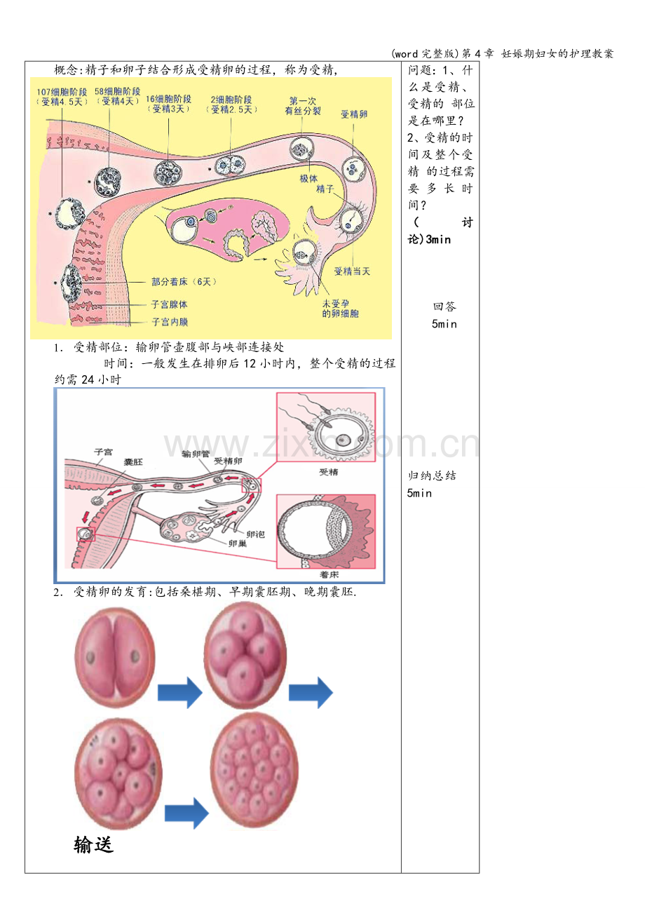 第4章-妊娠期妇女的护理教案.doc_第2页