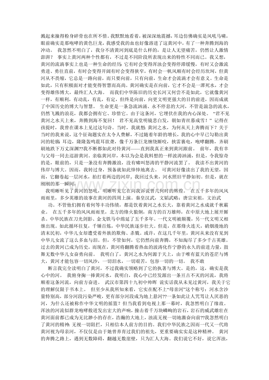 我心中的黄河作文600字.doc_第3页