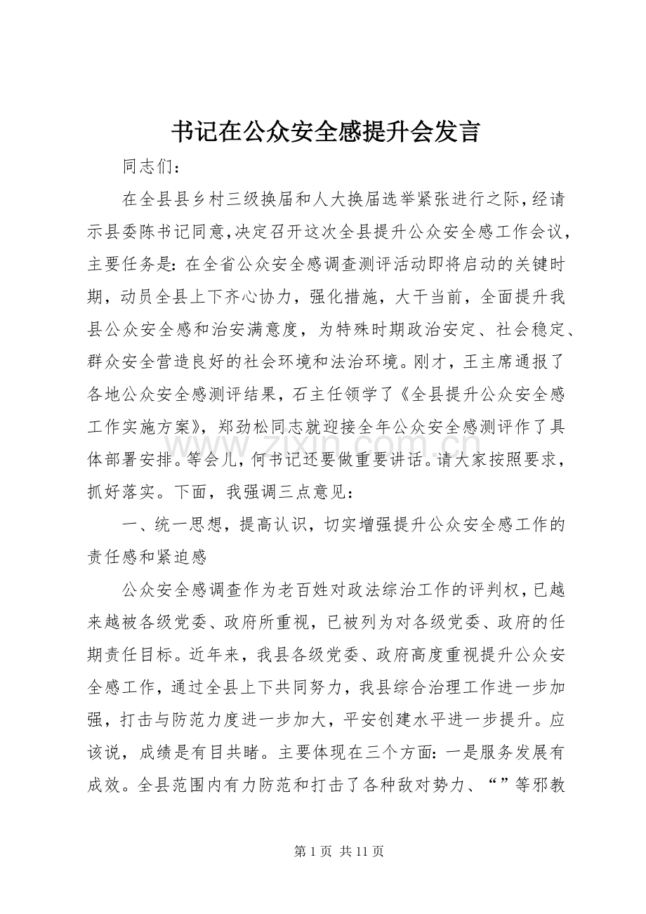 书记在公众安全感提升会发言稿.docx_第1页