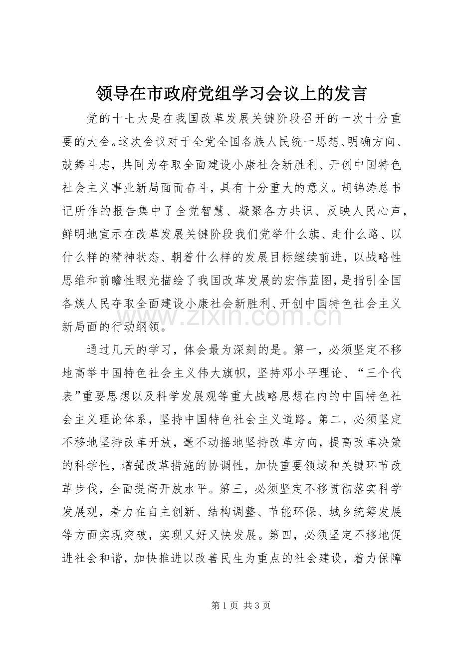 领导在市政府党组学习会议上的发言稿.docx_第1页