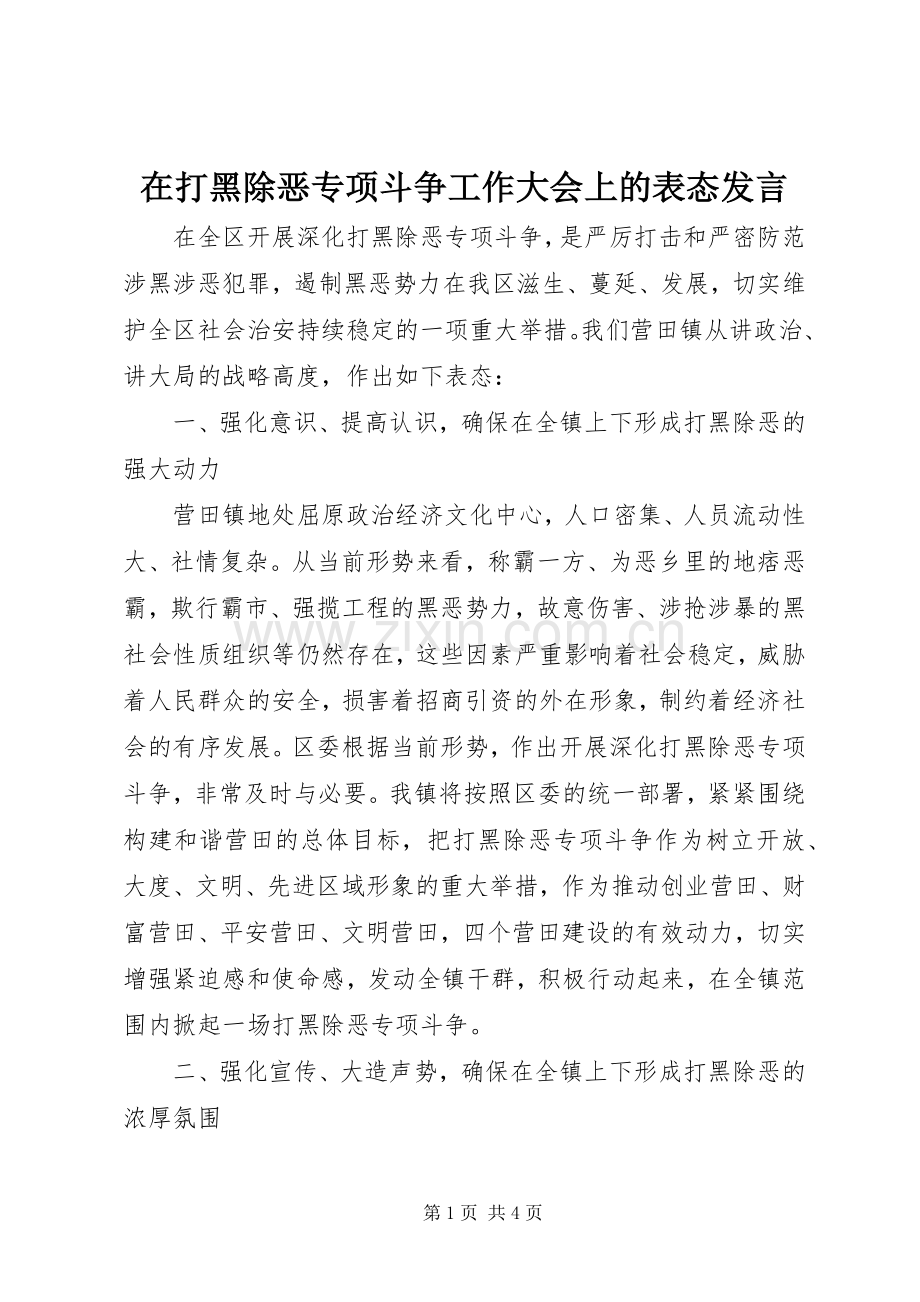 在打黑除恶专项斗争工作大会上的表态发言稿.docx_第1页