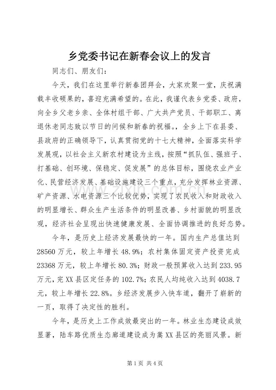 乡党委书记在新春会议上的发言稿.docx_第1页