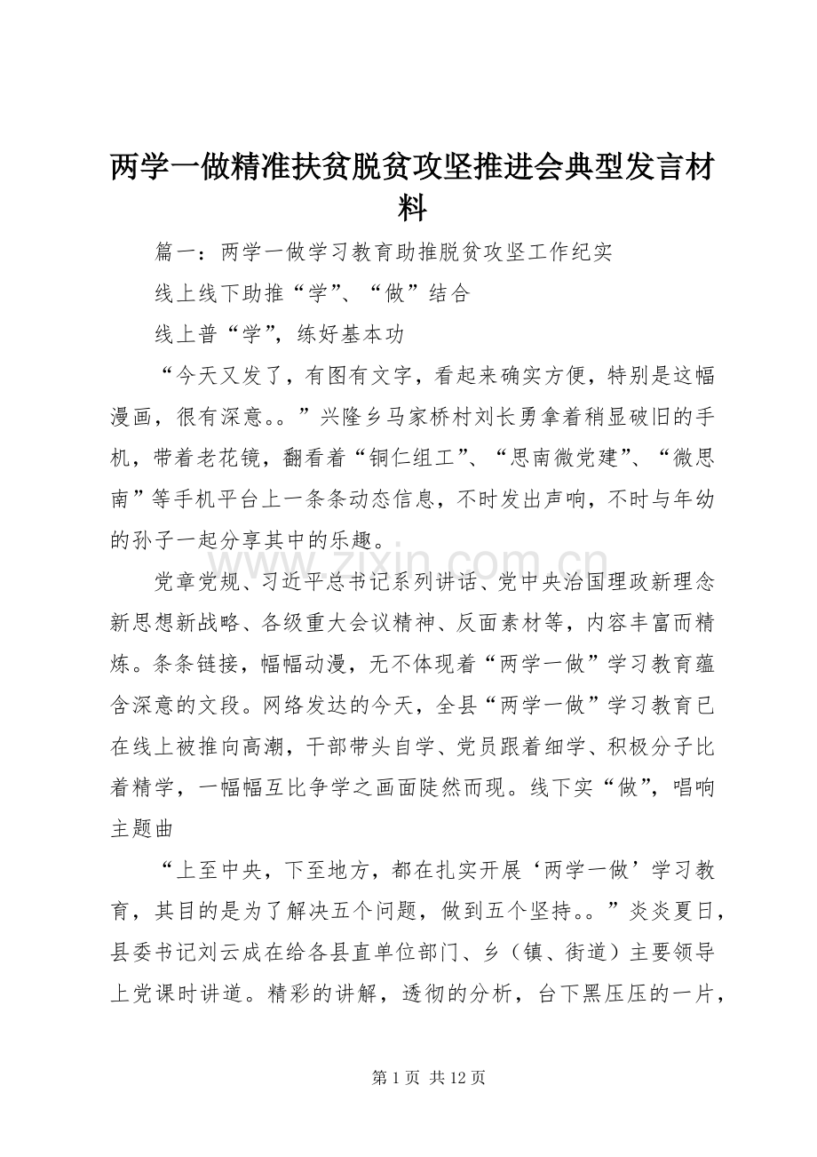 两学一做精准扶贫脱贫攻坚推进会典型发言材料提纲范文.docx_第1页