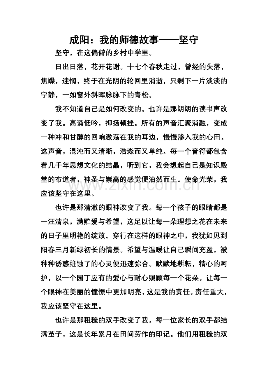 成阳：我的师德故事——坚守.doc_第1页