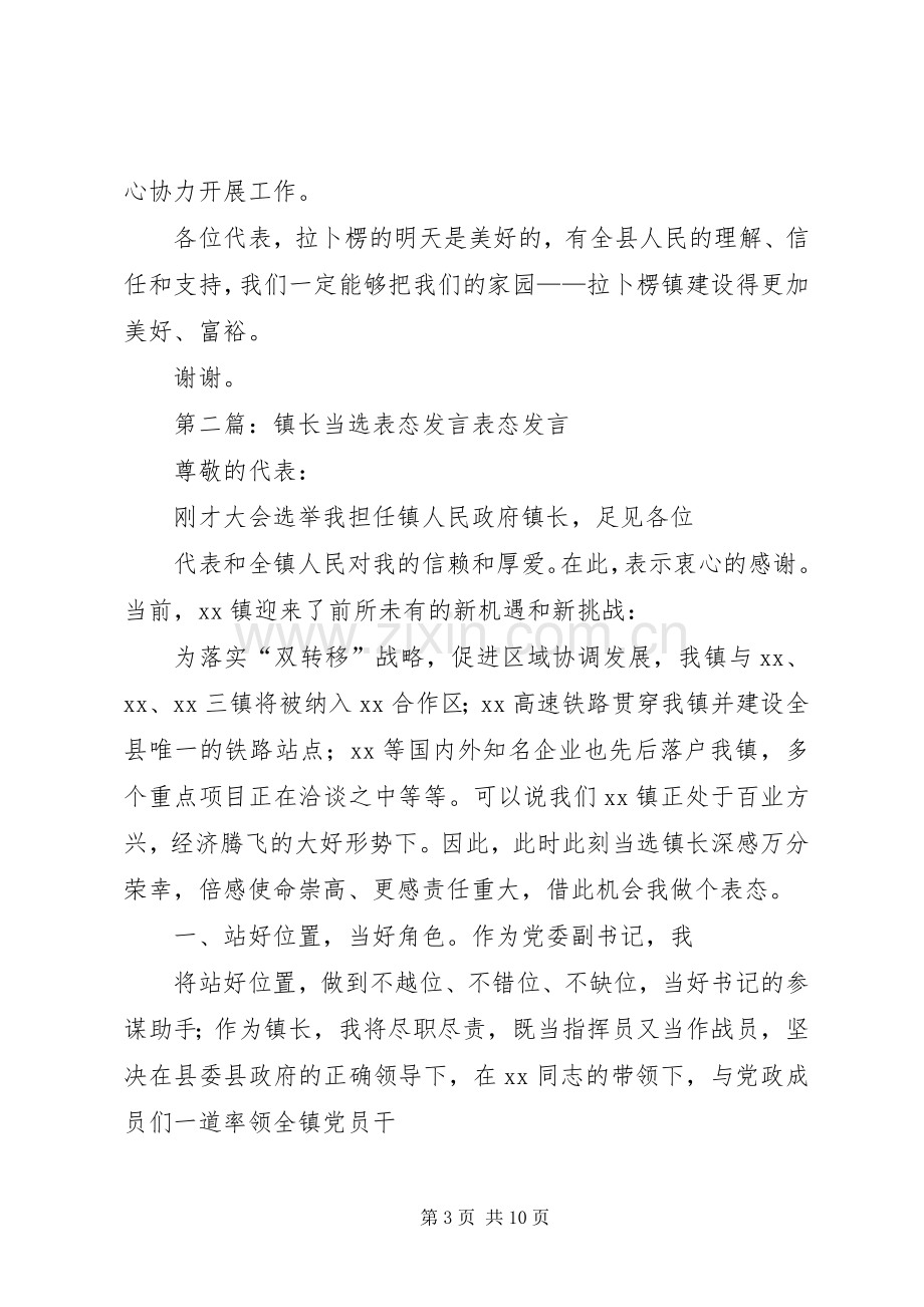 副乡镇长表态发言稿.docx_第3页