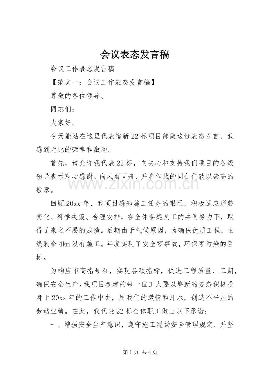 会议表态发言稿范文.docx_第1页