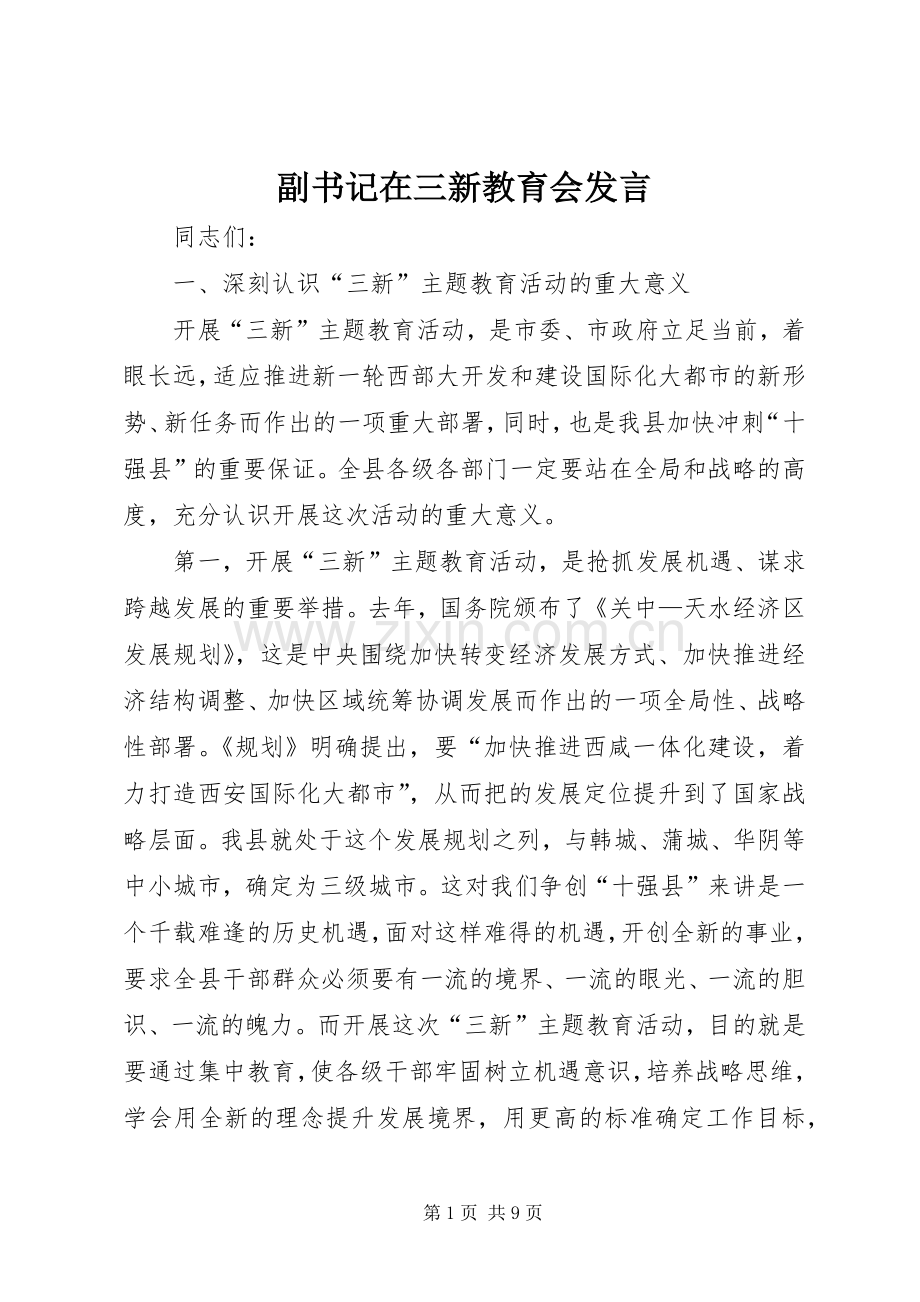 副书记在三新教育会发言稿.docx_第1页