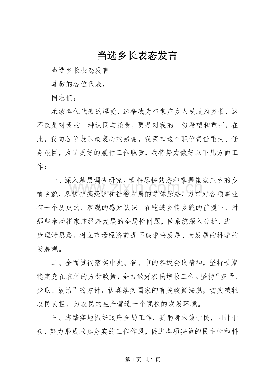 当选乡长表态发言稿.docx_第1页