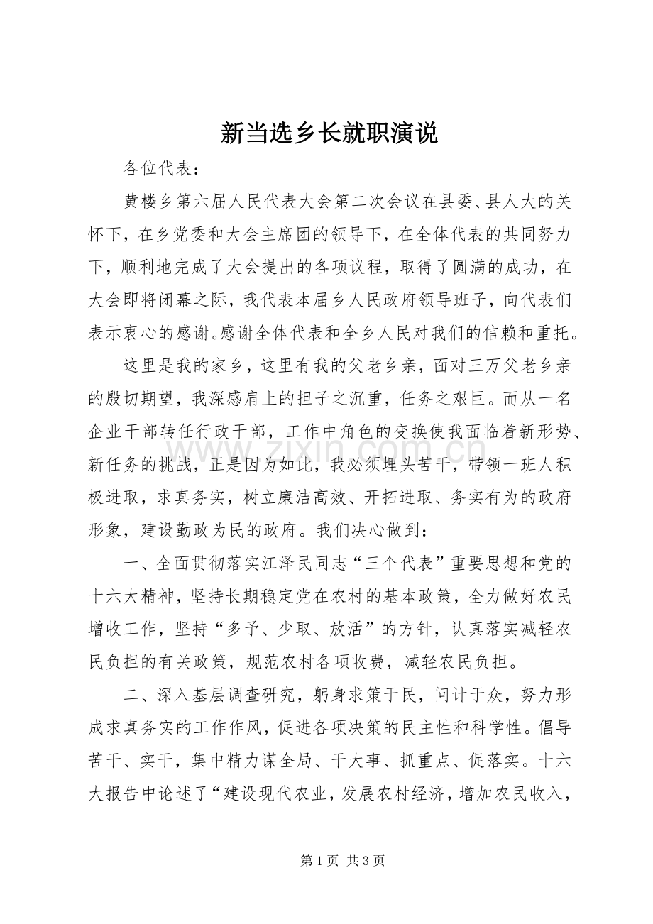 新当选乡长就职演说稿(10).docx_第1页