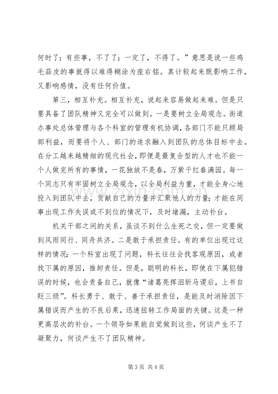 事业机关XX年开展团队精神凝聚力活动主题演讲稿.docx_第3页