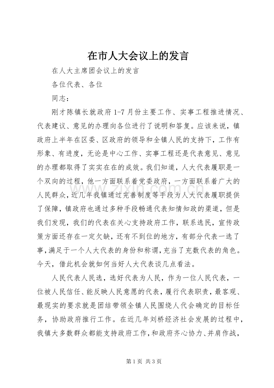 在市人大会议上的发言稿 (2).docx_第1页