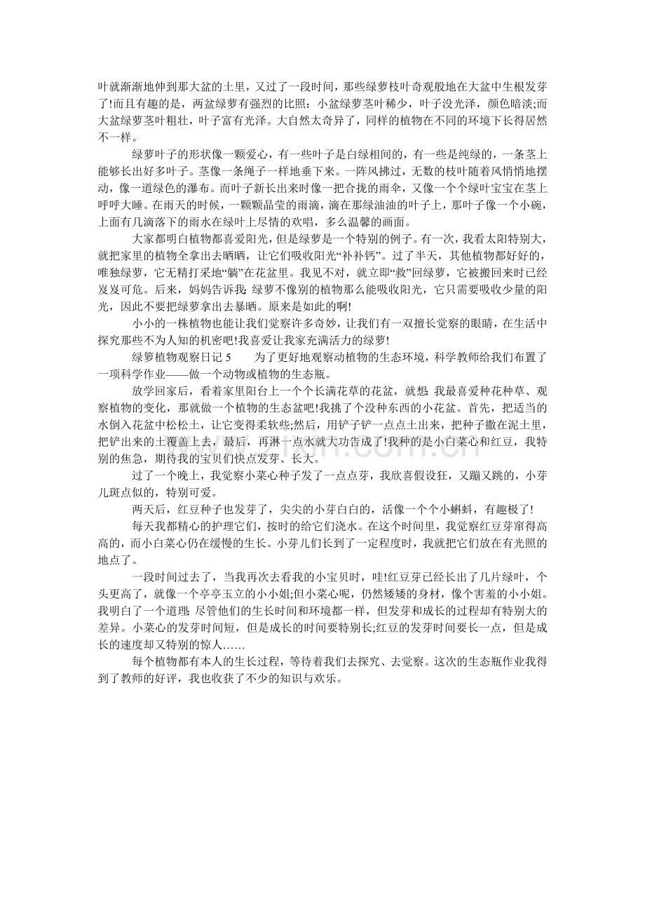 绿箩植物观察日记.doc_第2页