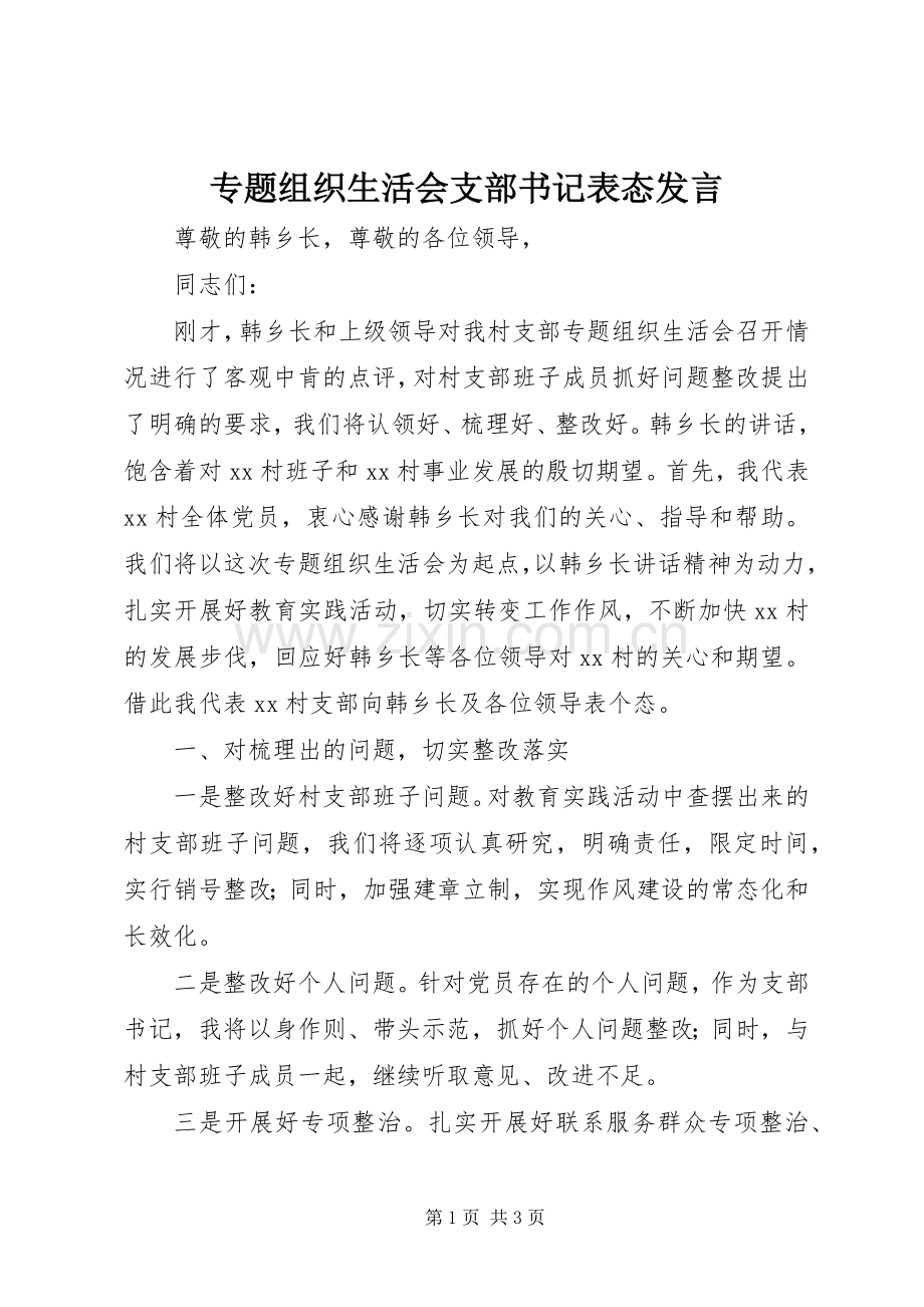 专题组织生活会支部书记表态发言稿 (2).docx_第1页