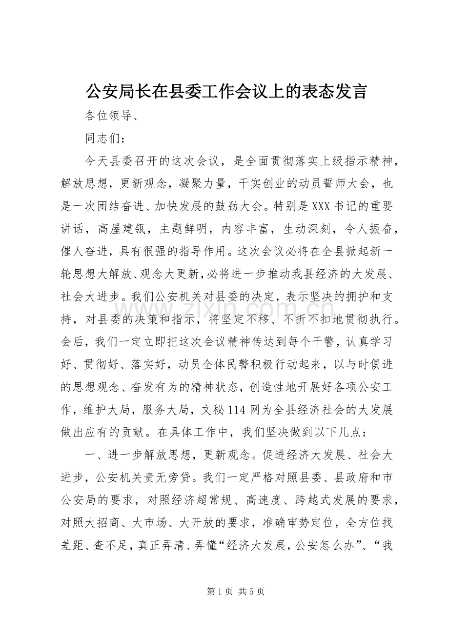 公安局长在县委工作会议上的表态发言.docx_第1页