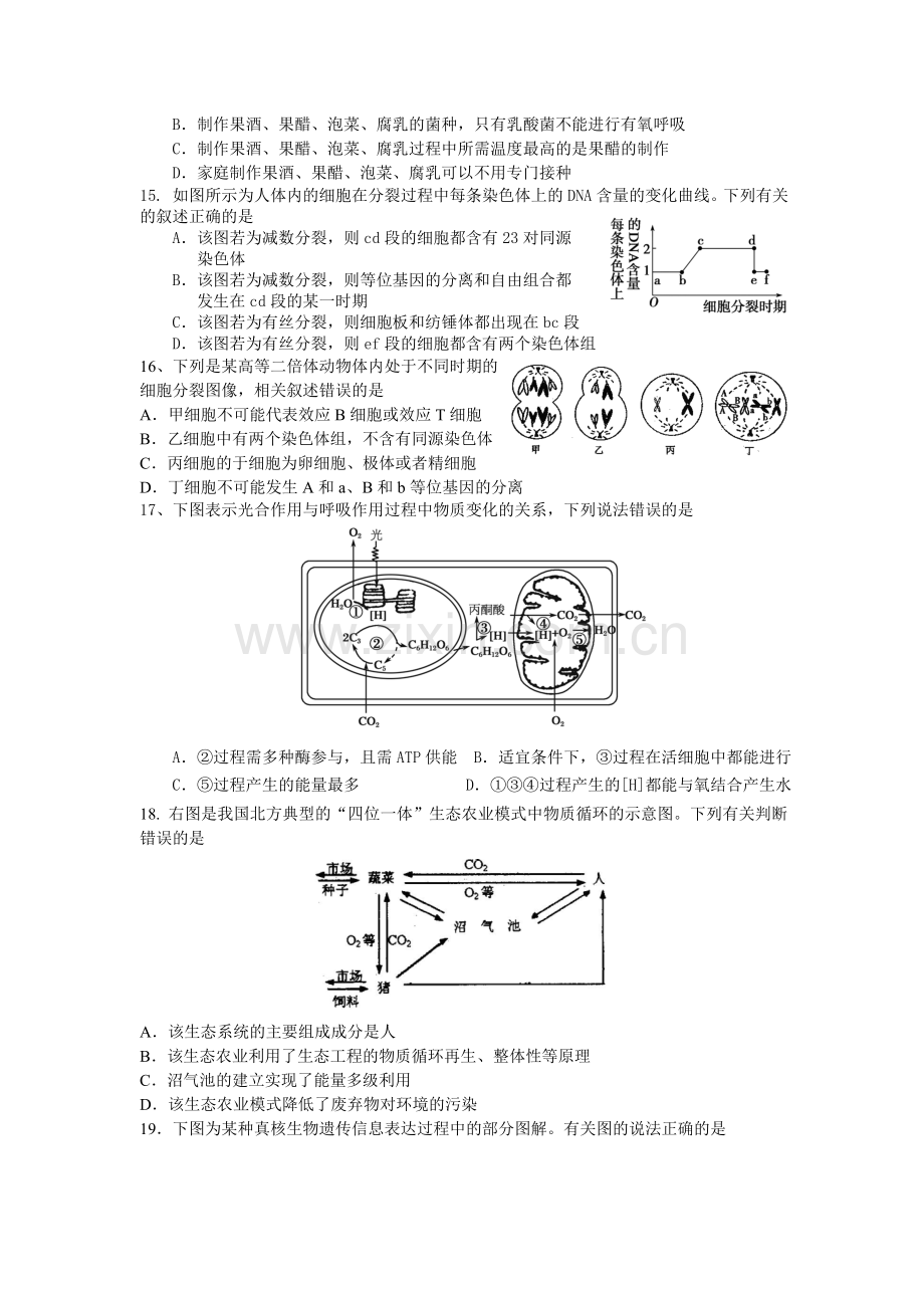 高二生物期末模拟试卷二.doc_第3页