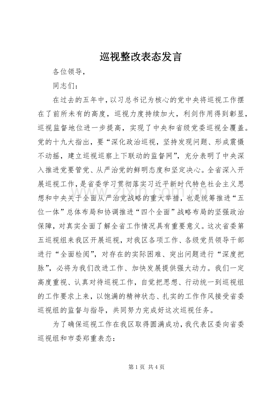 巡视整改表态发言稿.docx_第1页