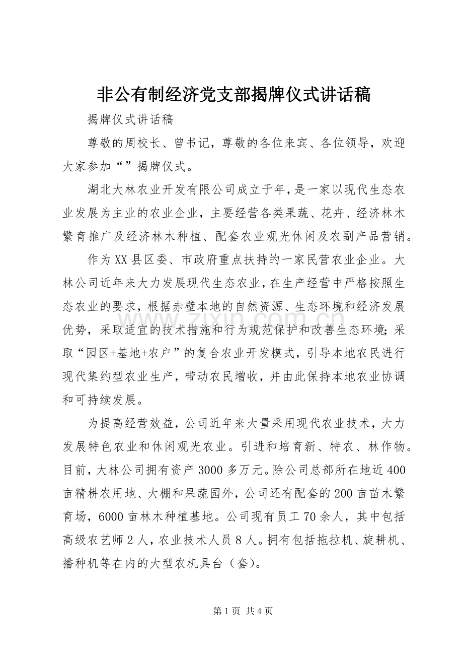 非公有制经济党支部揭牌仪式讲话稿.docx_第1页