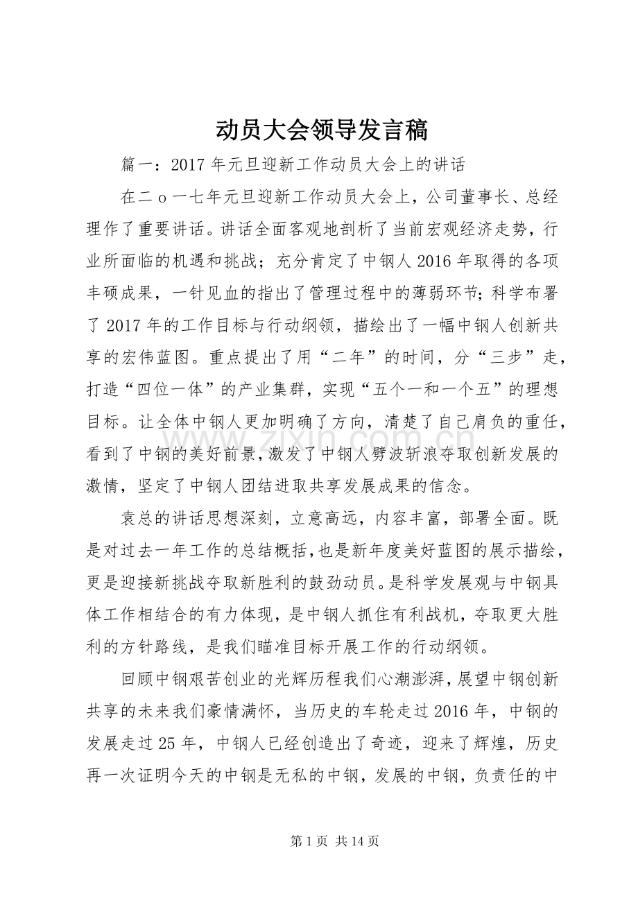 动员大会领导发言稿范文.docx_第1页