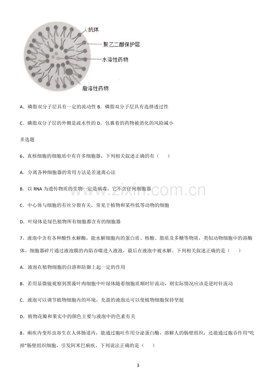 (文末附答案)人教版2022年高中生物第三章细胞的基本构成考点突破.pdf_第3页