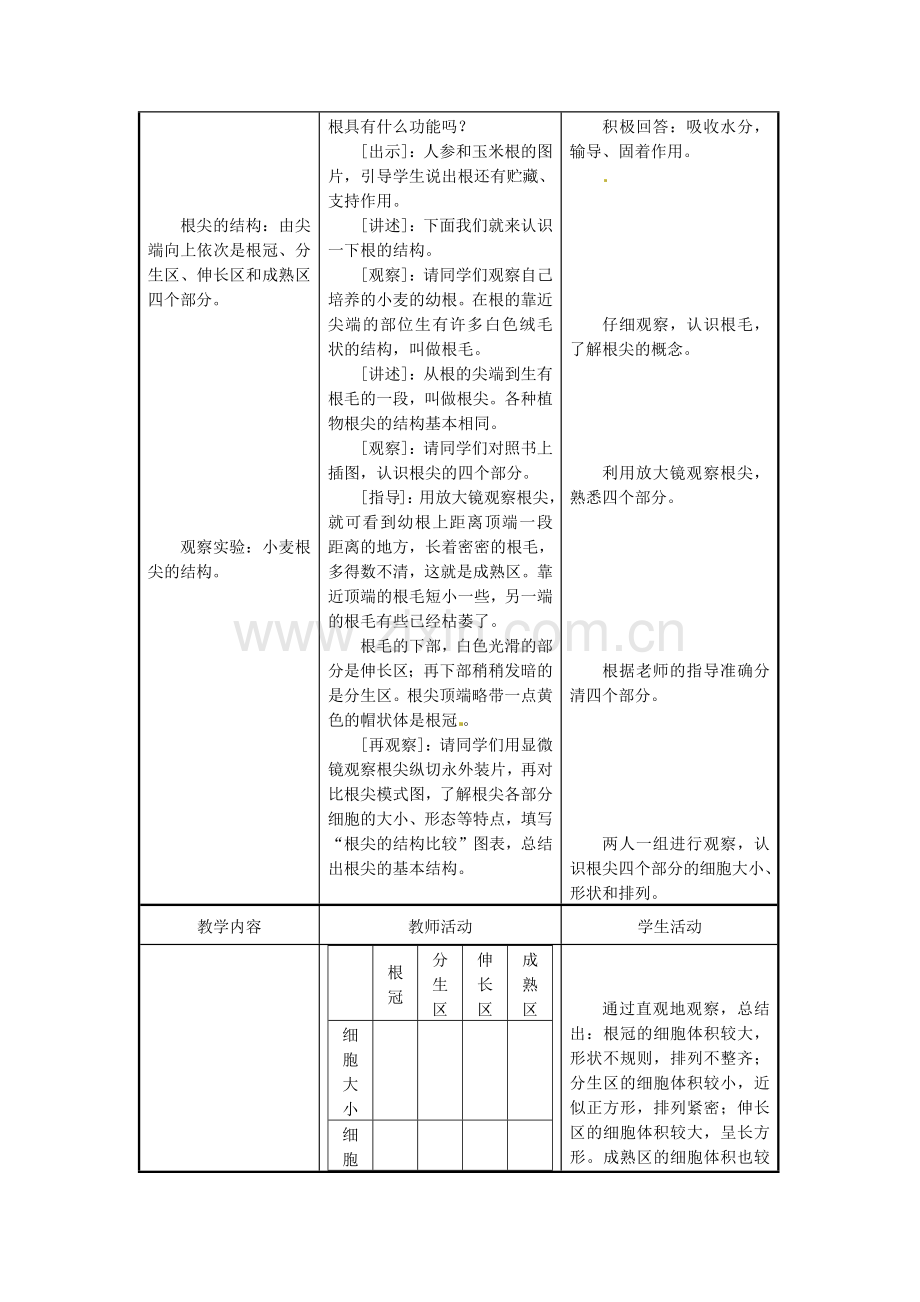 根的生长--教学设计.docx_第2页