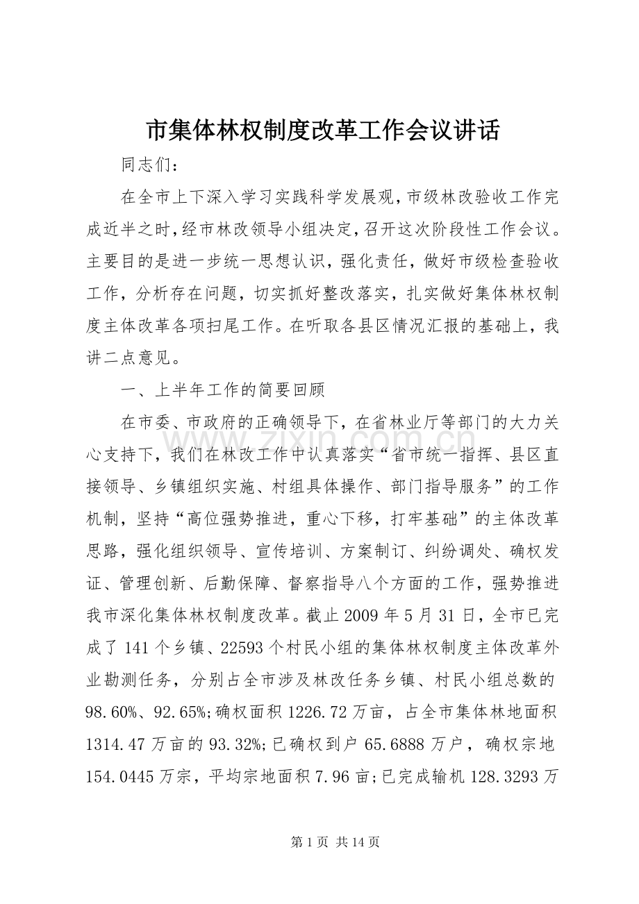 市集体林权制度改革工作会议讲话.docx_第1页