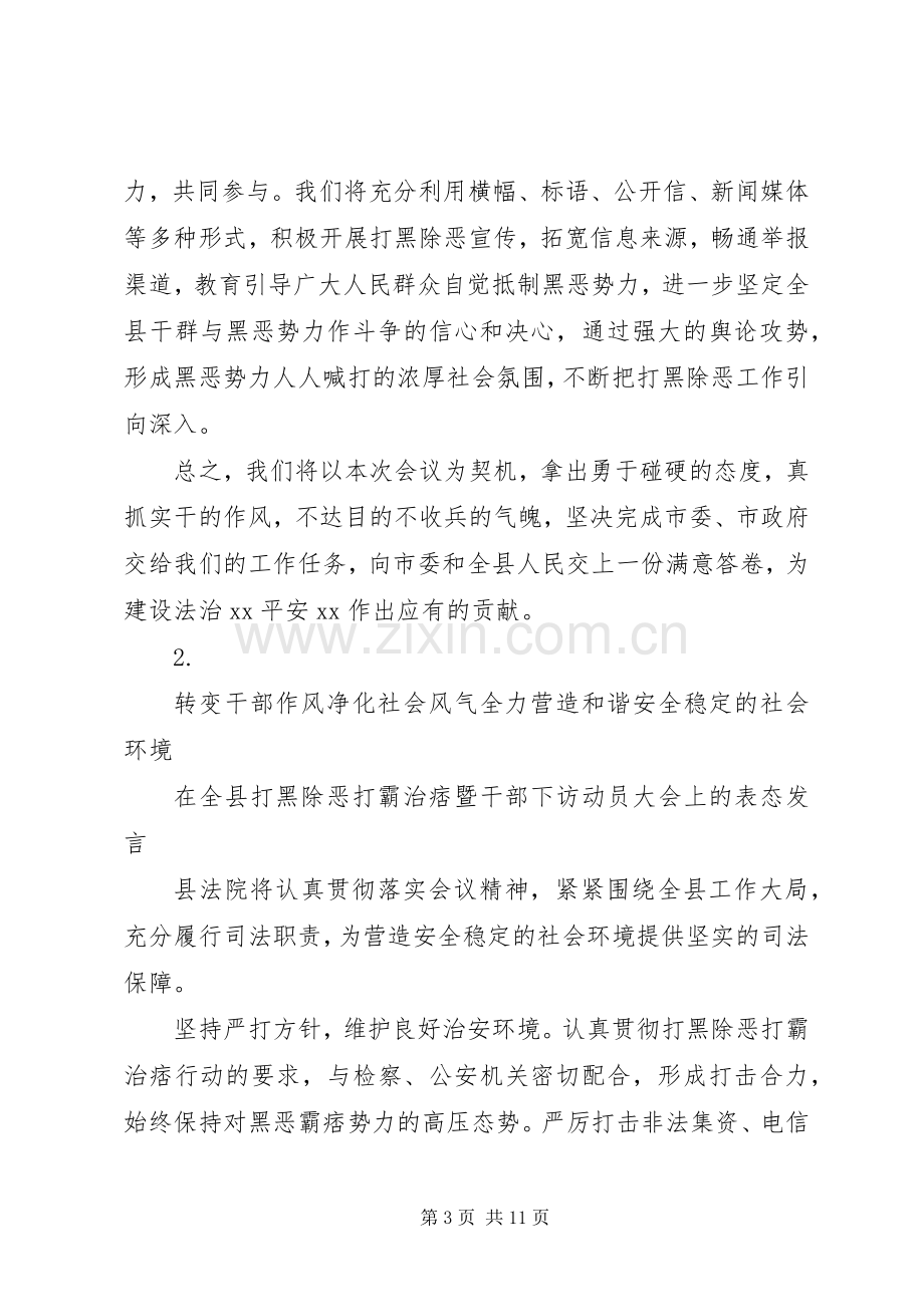 打黑除恶工作会议发言6篇.docx_第3页