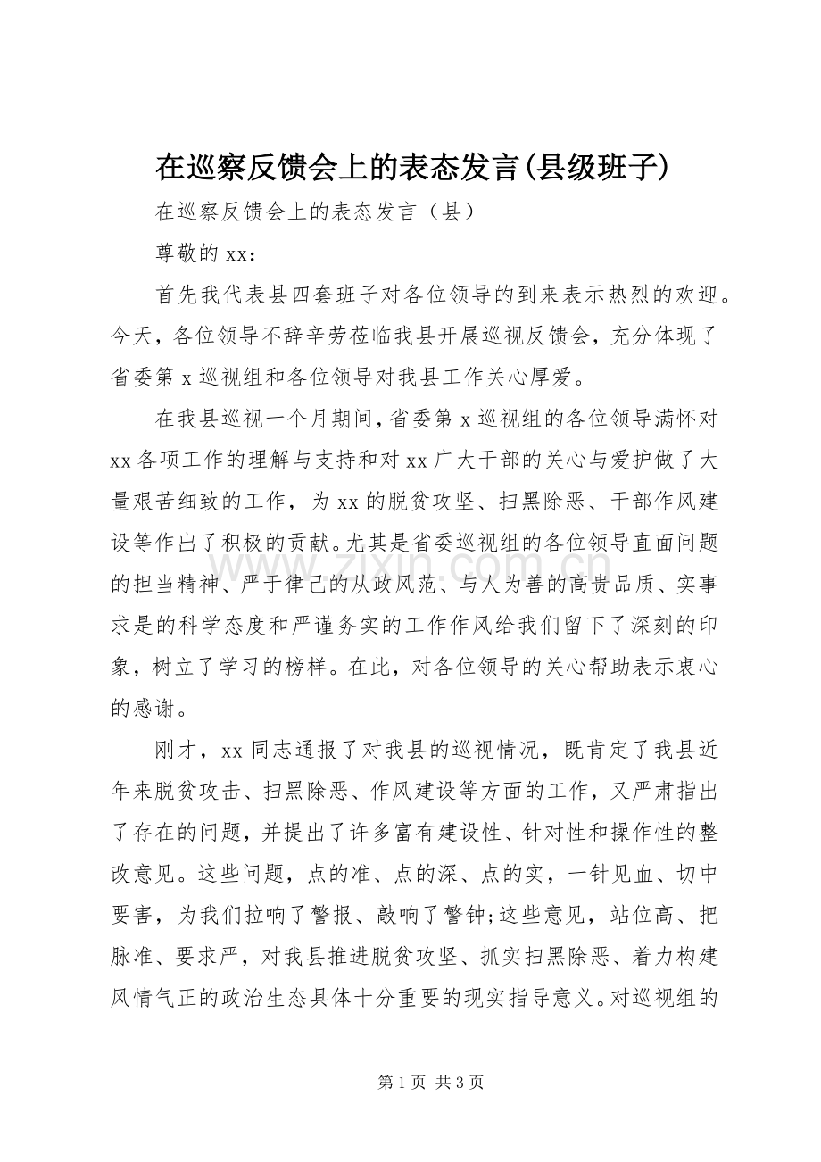 在巡察反馈会上的表态发言稿(县级班子).docx_第1页