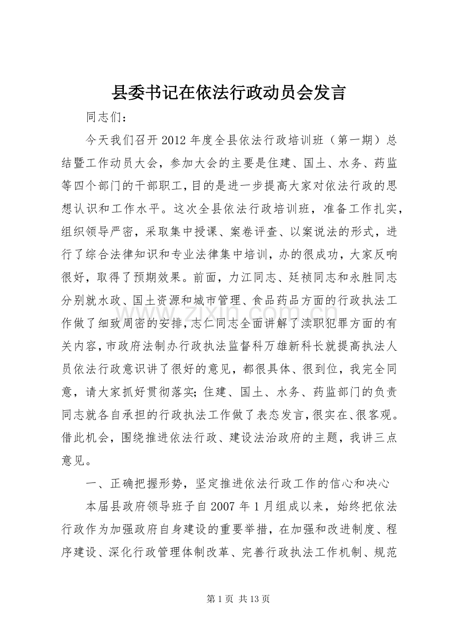 县委书记在依法行政动员会发言稿.docx_第1页