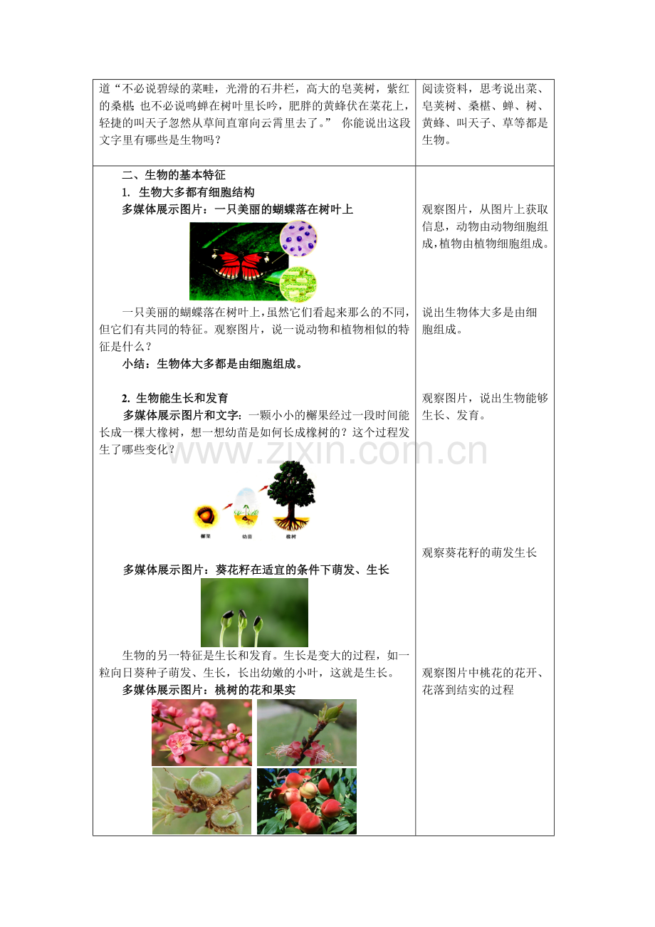 生物与生物学-教学设计.doc_第3页