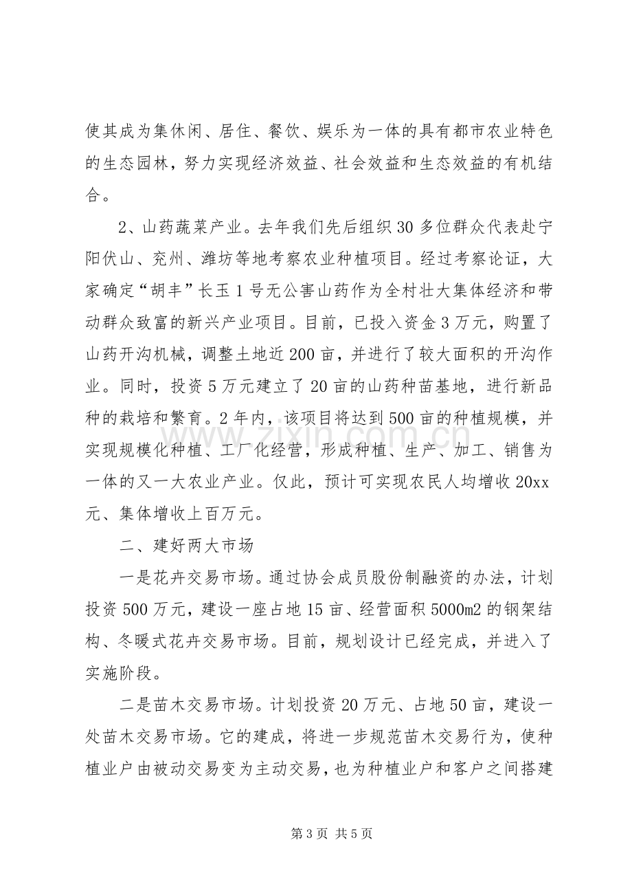 村党支部书记社会主义新农村建设表态发言稿 (2).docx_第3页