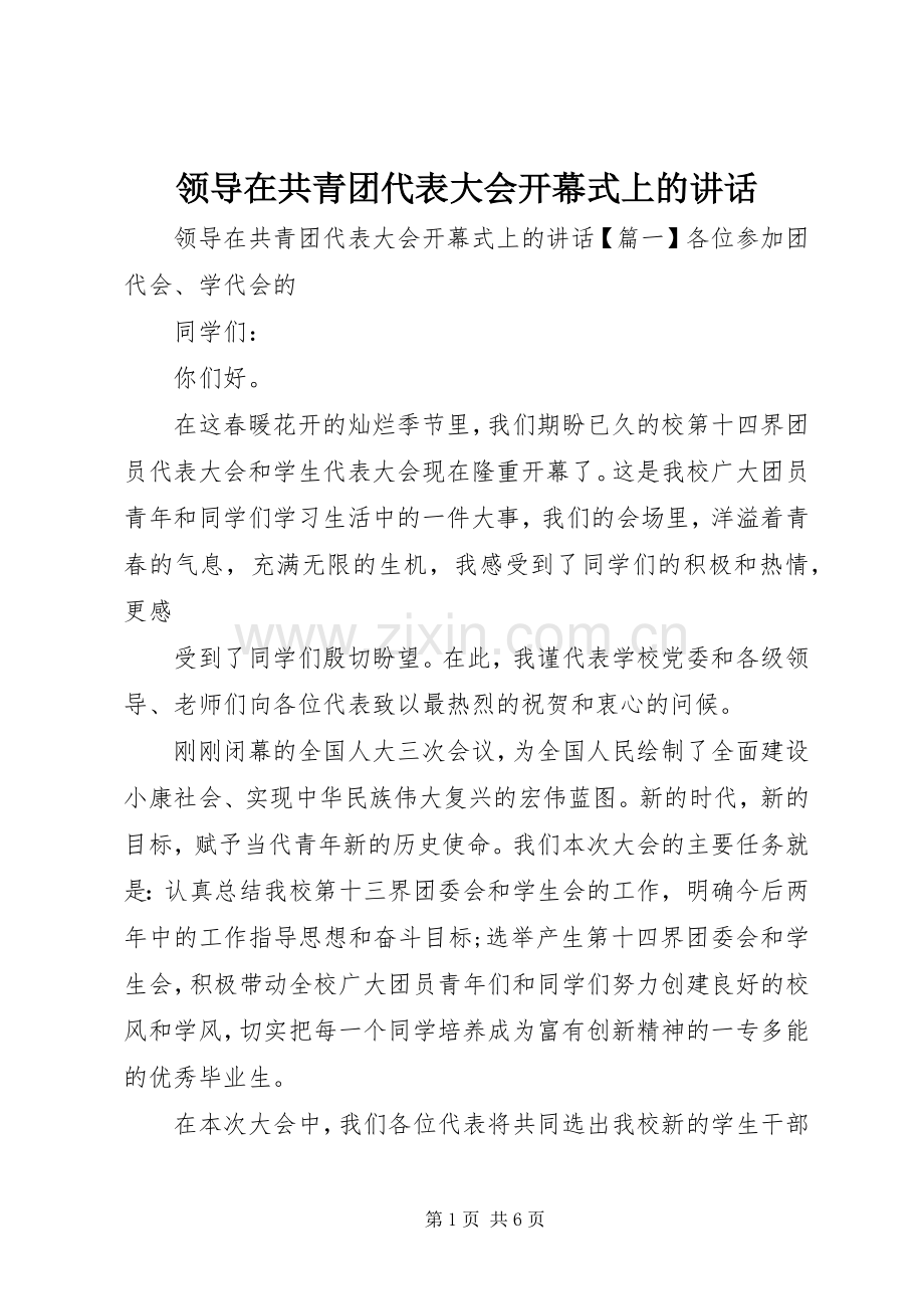 领导在共青团代表大会开幕式上的讲话.docx_第1页